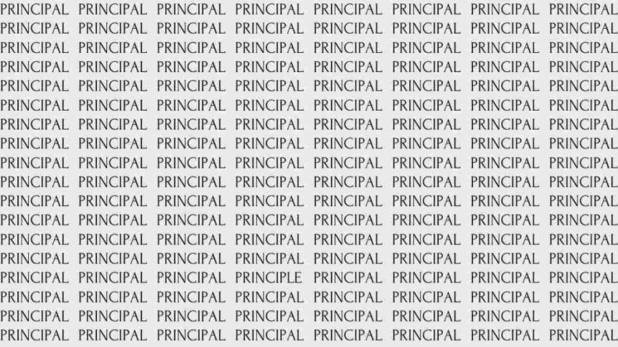 Observation Skill Test: If you have Eagle Eyes find the Word Principle among Principal in 05 Secs