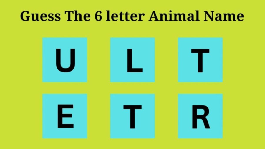 Brain Teaser Scrambled Word Finding: Can you find the 6 letter Animal name in 10 seconds?