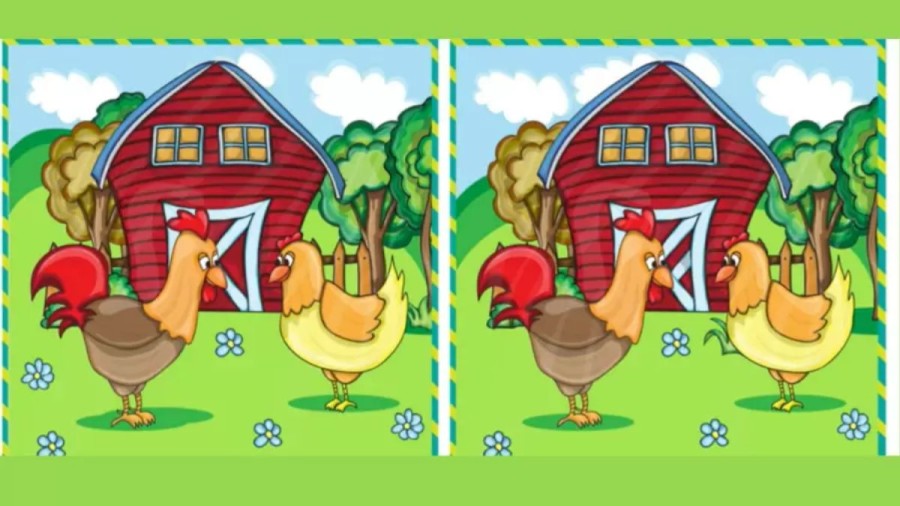 Find The Difference - Can You Find 10 Differences Between These Two Pictures In 30 Secs? Brain Teaser