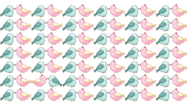 Find The Odd One - Can You Find The Odd Bird In 22 Secs? Brain Teaser