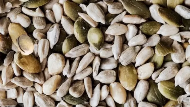 Optical Illusion Brain Test: Only A Genius Can Spot The Pista Among These Pumpkin Seeds In Less Than 16 Seconds