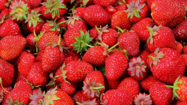 Optical Illusion Eye Test: Among These Strawberries, There Is A Cherry Hidden. Can You Locate It In Less Than 15 Seconds?