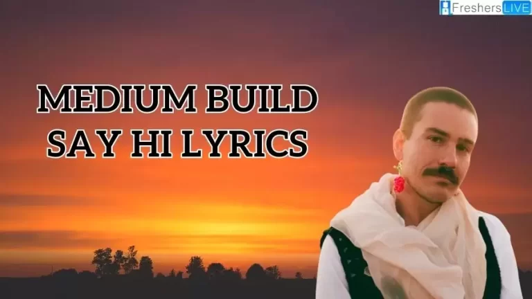 Medium Build Say Hi Lyrics and Meaning