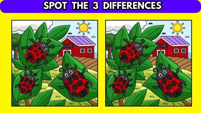 Optical Illusion: If You Have Sharp Eyes Find 3 Differences in 10 Secs