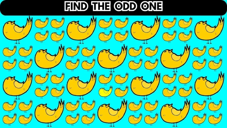 Brain Teaser: Can You Find the Odd One in 12 Seconds?