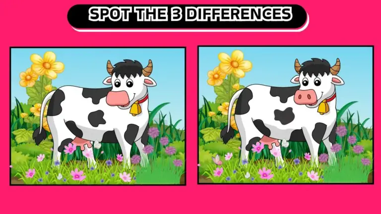 Optical Illusion: Can You Spot 3 Differences in 15 Seconds?