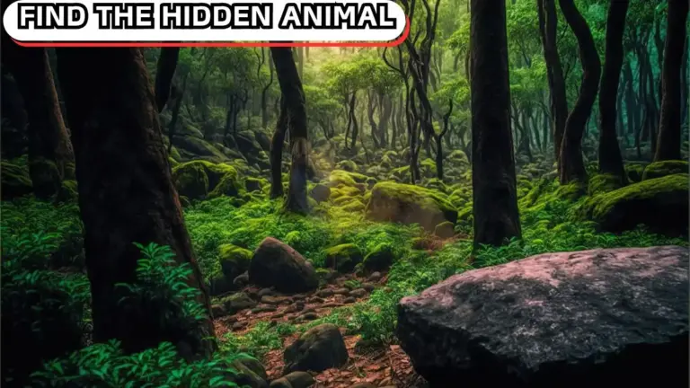 Try to Find the Hidden Animal in 10 Seconds